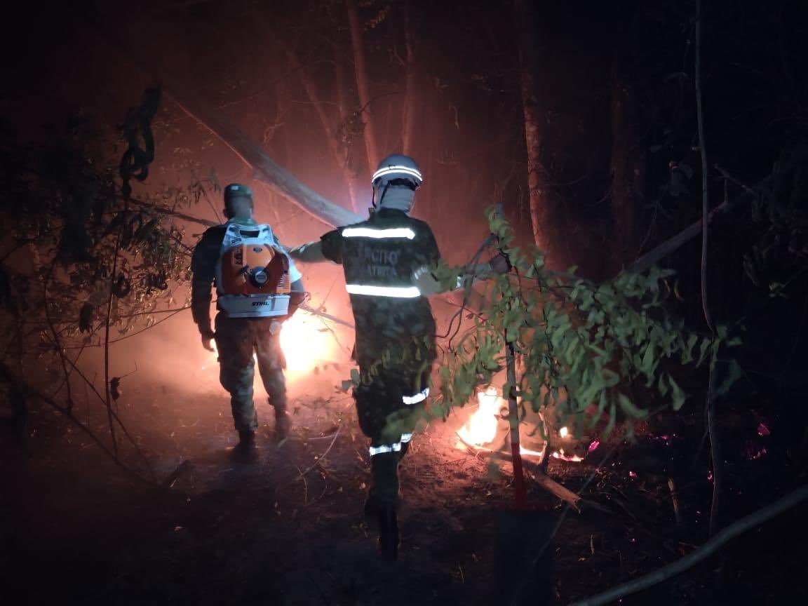 Incendio Forestal En Vichada Ha Consumido Más De 7 Mil Hectáreas De Vegetación Noticias Prensa 2475